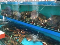 水产区-港畔赶海蒸汽海鲜烧烤自助(仙螺岛店)