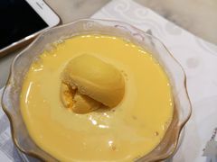 杨枝金露-糖朝(尖沙咀店)