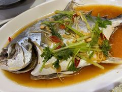 清蒸海昌鱼-潮汕铺老店(甜水井店)