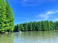 -上海海湾国家森林公园