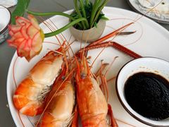 盐水虾-水岸居湖景农家乐·阳澄湖大闸蟹