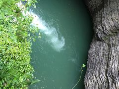 -鹿院坪生态旅游景区