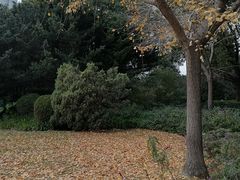 -丰收日(五角场店)
