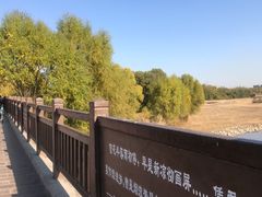 -北京麋鹿生态实验中心