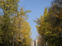-观山湖公园