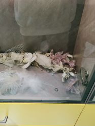 点击看大图 -小时候儿童摄影(解放大道店)