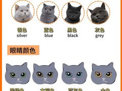 -小猫来了·猫舍(红山六九七九店)