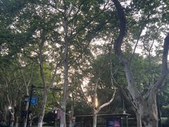 -杭州黄龙洞