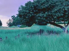 -红花山公园
