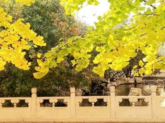 -北京市海淀外国语实验学校