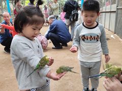 -呀路古热带植物园