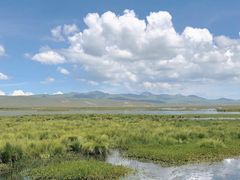 -花湖生态旅游区