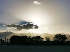 -国强手抓(西夏区店)