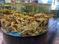 帝王蟹-蟹之国·精品蟹料理(极地店)