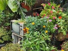 -胡桃里乐队酒馆(鎏嘉码头店)