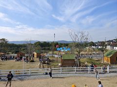 -苏州太湖西山岛开心农场