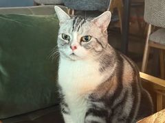 -咖法森林·咖啡  酒吧(天河店)