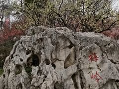 -南京古林公园