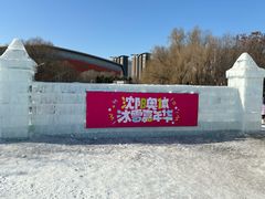 -沈阳奥体冰雪嘉年华