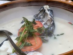 -全乐鱼馆·淳牌有机鱼直营店