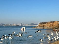 -银沙滩浴场