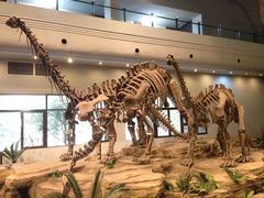 -自贡恐龙博物馆