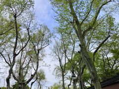 -灵隐飞来峰景区