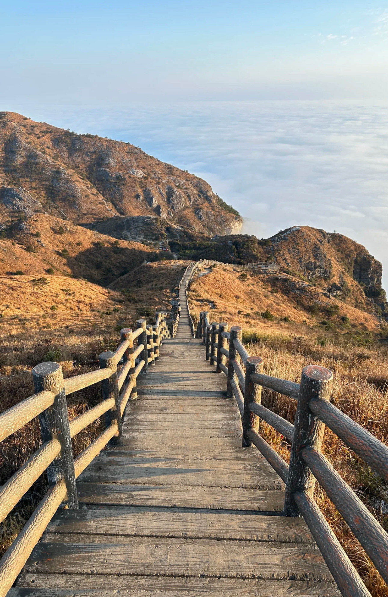 福建避世仙境!大丰山云海秘境竟比武功山更绝