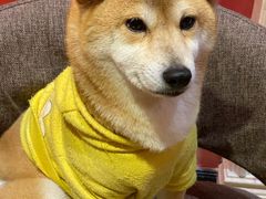 -猫色咖啡·猫咖