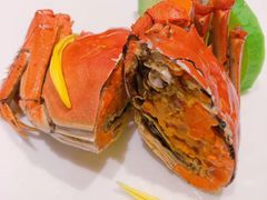 -甄御•海鲜新青岛菜(麦岛店)