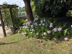 -梁鸿国家湿地公园