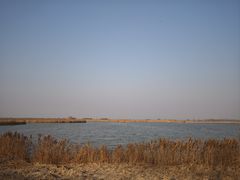 -盐城丹顶鹤湿地生态旅游区