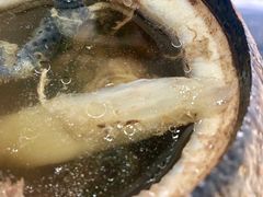 原只椰子炖竹丝鸡-達揚原味燉品(文明路店)