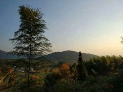-塔川景区