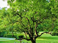 -荔香公园