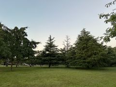 -泰丰公园