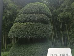 -苏州河梦清园环保主题公园