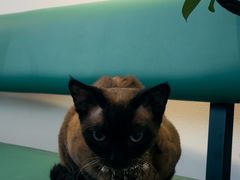 -Northand Coffee(来福士店)