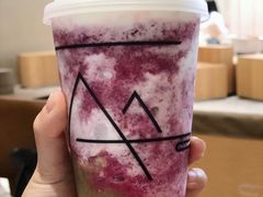 -去茶山