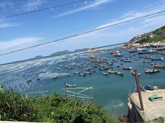 -枸杞岛