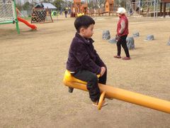 -上海长兴岛郊野公园