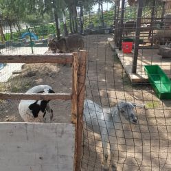-童心园麦窑·儿童拓展探宝乐园