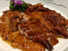 -鹅城