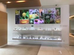 -安利上海体验馆