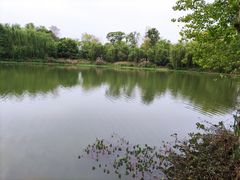 -白鹭湾湿地公园