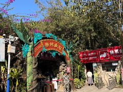 -瑞丽独树成林风景区