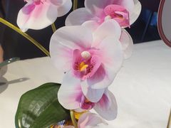 -大鸭梨烤鸭(望京店)