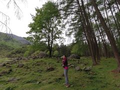 -硗碛藏寨·神木垒景区