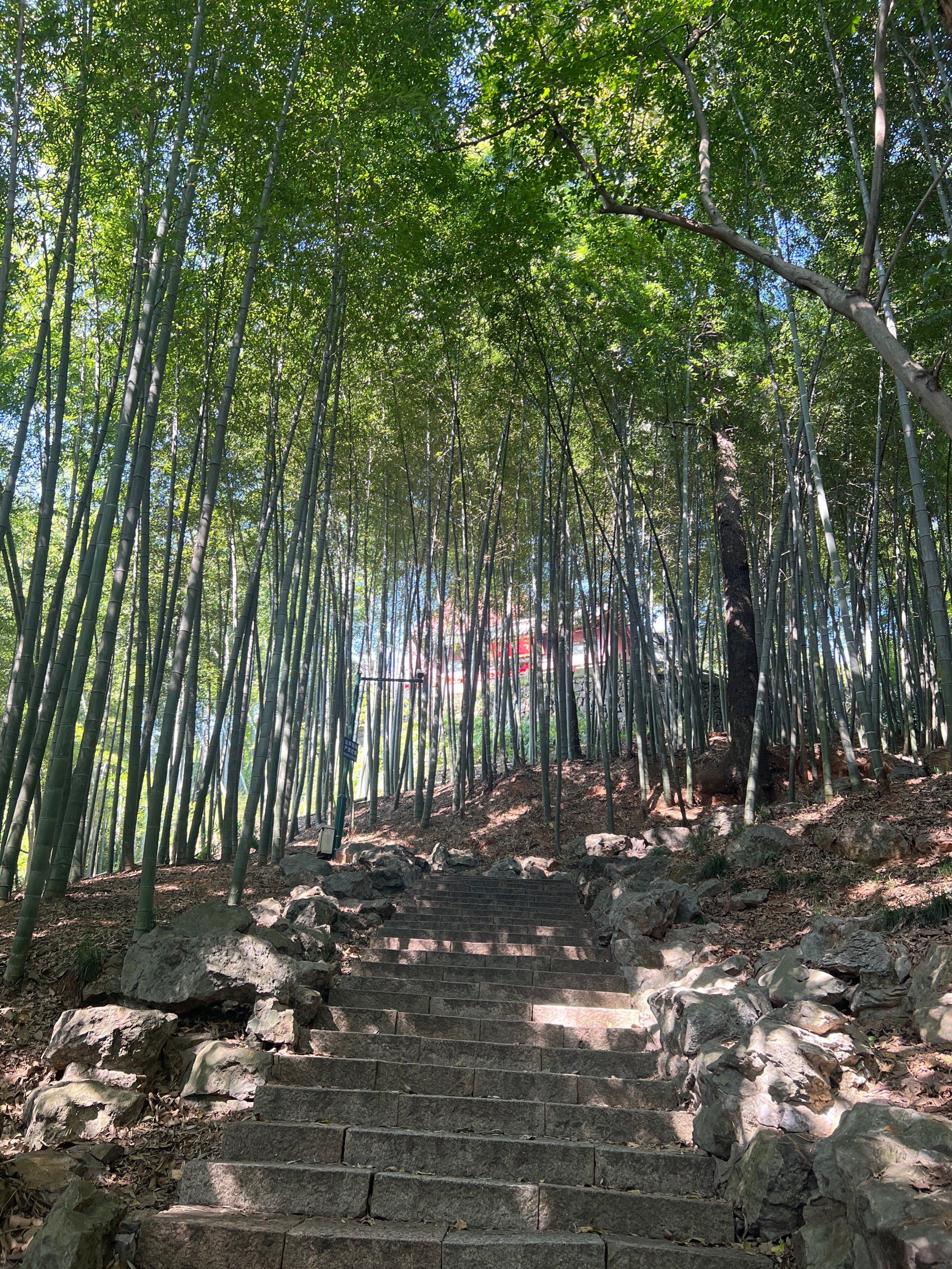 一人的爬山旅游#杭州玉皇山