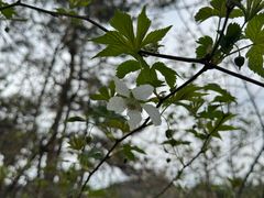 -四明山国家森林公园